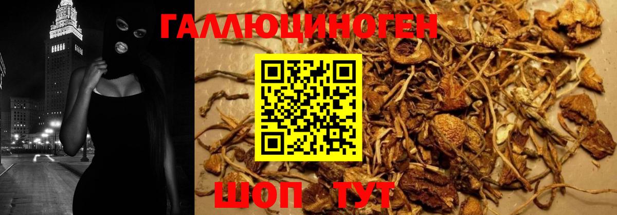 Галлюциногенные грибы мицелий  Вход с VPN  Псилоцибиновые грибы MAGIC MUSHROOMS  Москва 